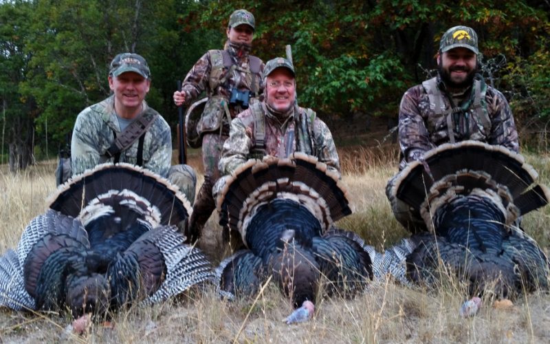 Washington State Guided Turkey Hunting